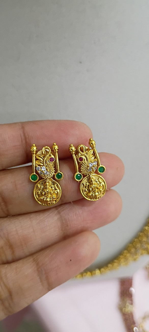 long Neckset with Earrings N74